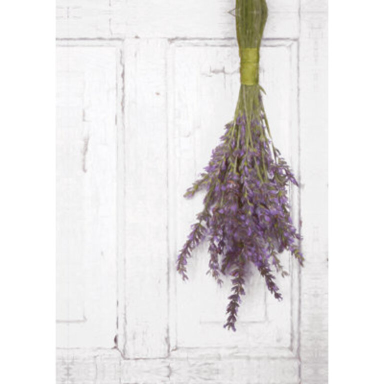 Hanging Lavender  Painting Print