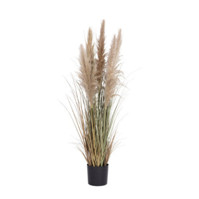60 Faux Pampas Grass