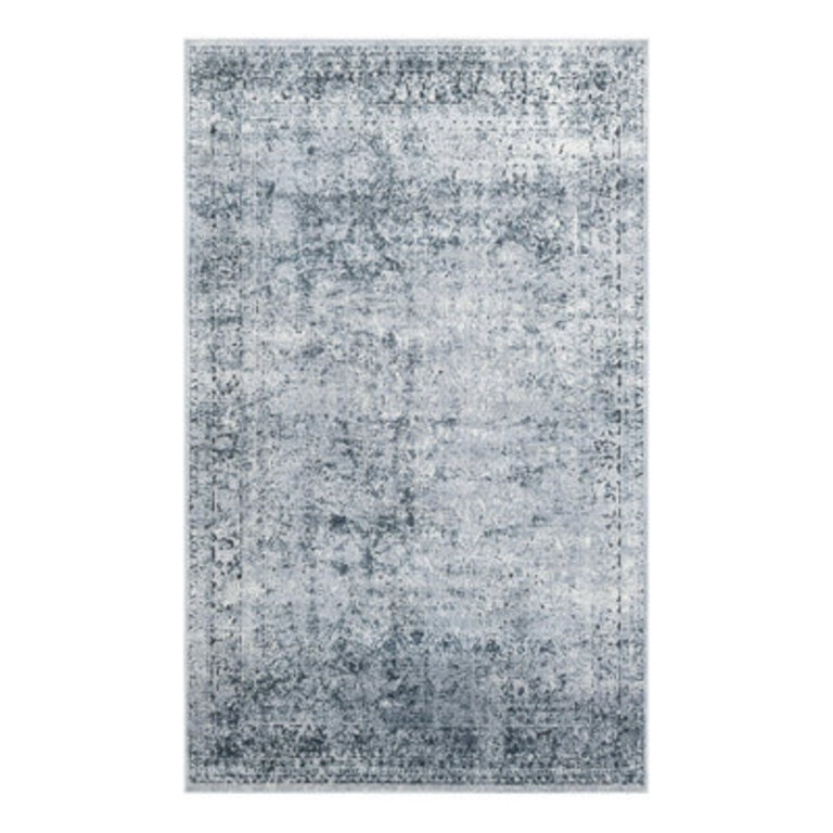 Lanett Oriental BlueGray Area Rug