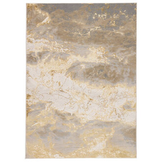 Kari GrayGold Indoor Area Rug