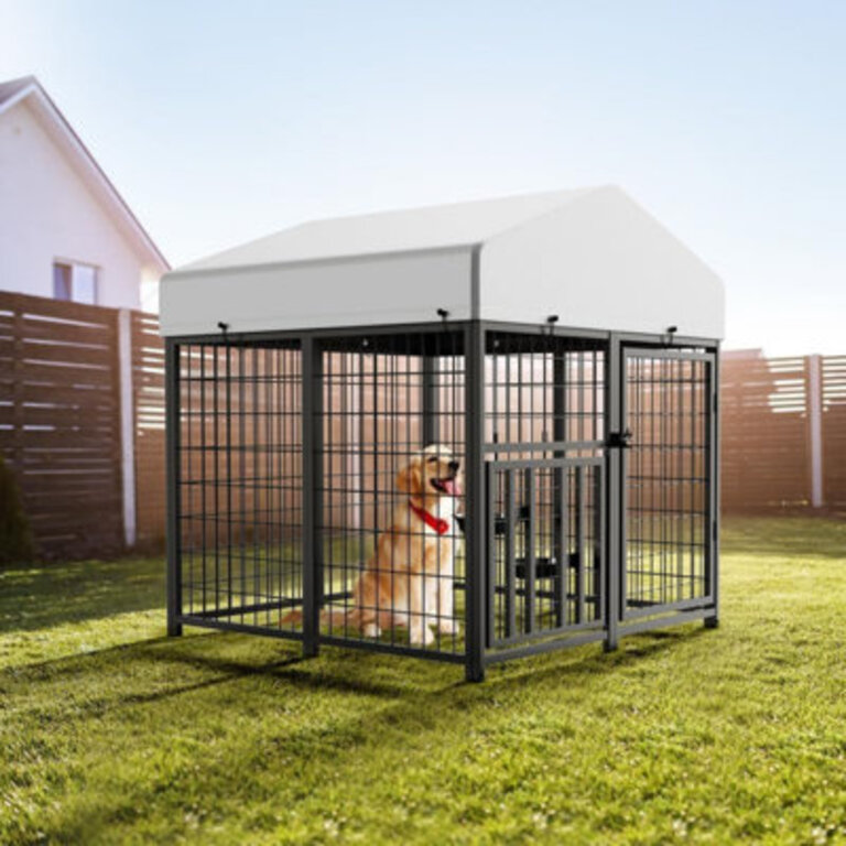 Metal Yard Kennel With Door
