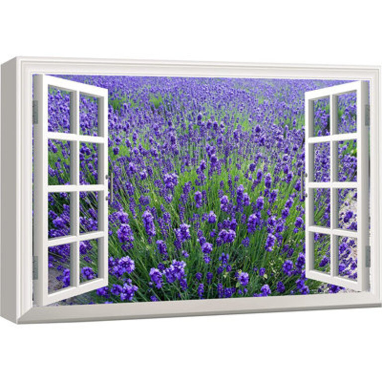 Window Scenery  Purple Lavender Field Blossom
