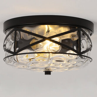 Alixandra 2-Light Flush Mount Glass Ceiling Light with Metal Frame