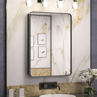 Gervon Rectangle Recessed Medicine Cabinet with Adjustable Shelves