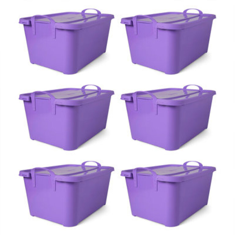 Life Story 55 Qt Stackable Home Organization Lidded Storage Container