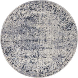 Lanett Oriental BlueGray Area Rug