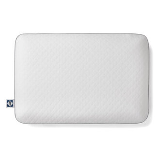 Sealy To Go Classic Memory Foam Pillow