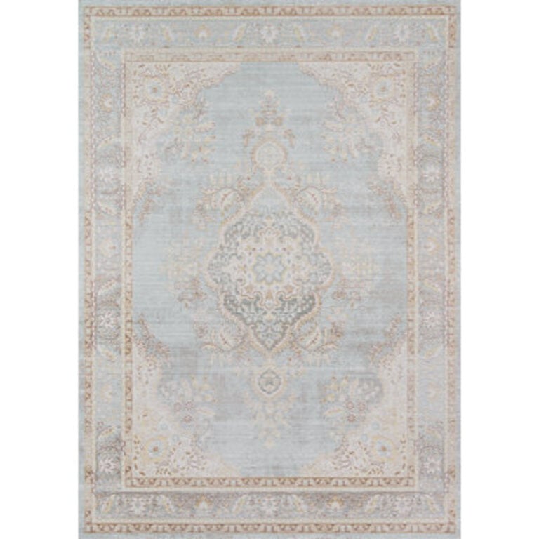 Vierzon Oriental Indoor Rug