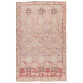 Asuncin Polyester Machine Washable Performance Rug