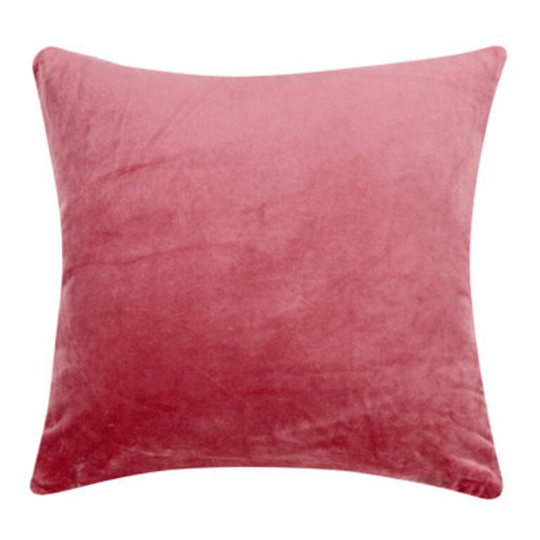 Velvet Throw Pillow