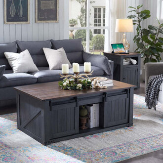 Vianor  48 Lift Top Coffee Table with Storage