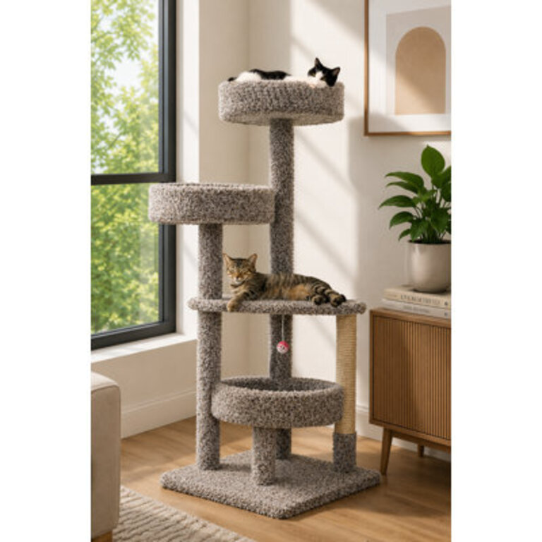 54  H Cat Scratching Post