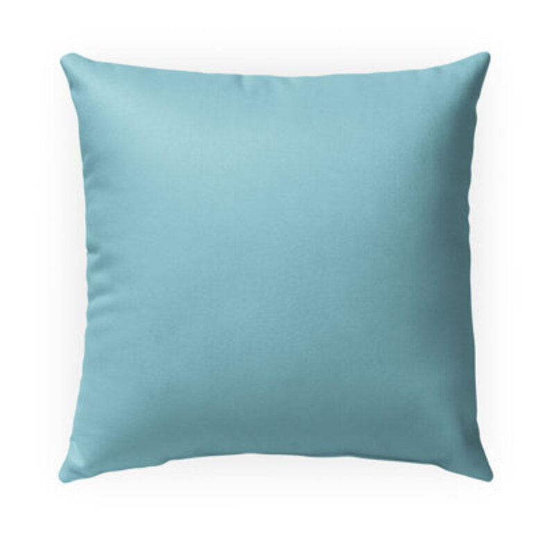Cotton Indoor  Outdoor Pillow