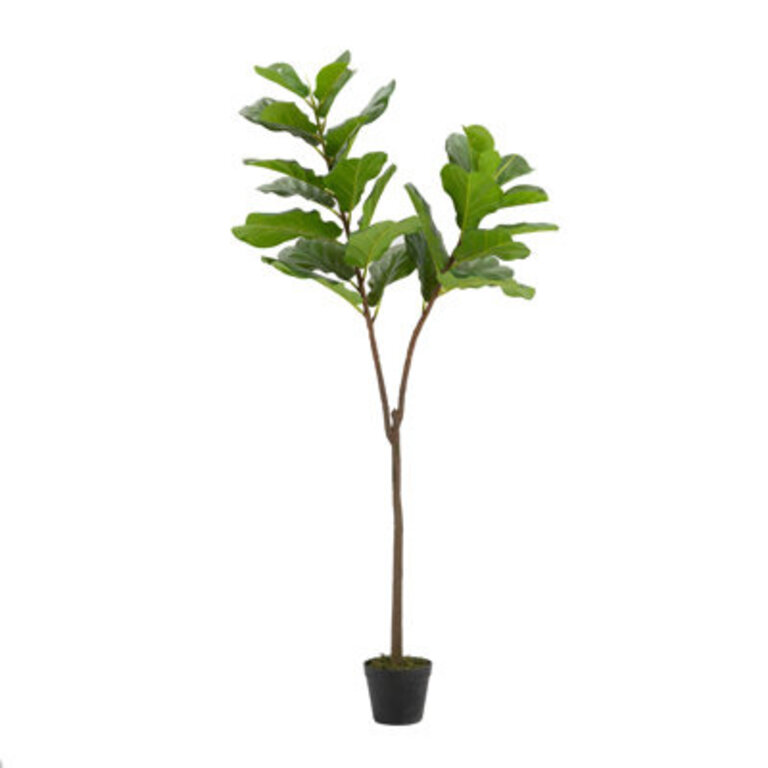 55.1'' Faux Fiddle Leaf Fig Tree in Cement Pot