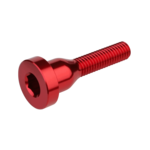 Burgtec Burgtec - Top Cap Bolt