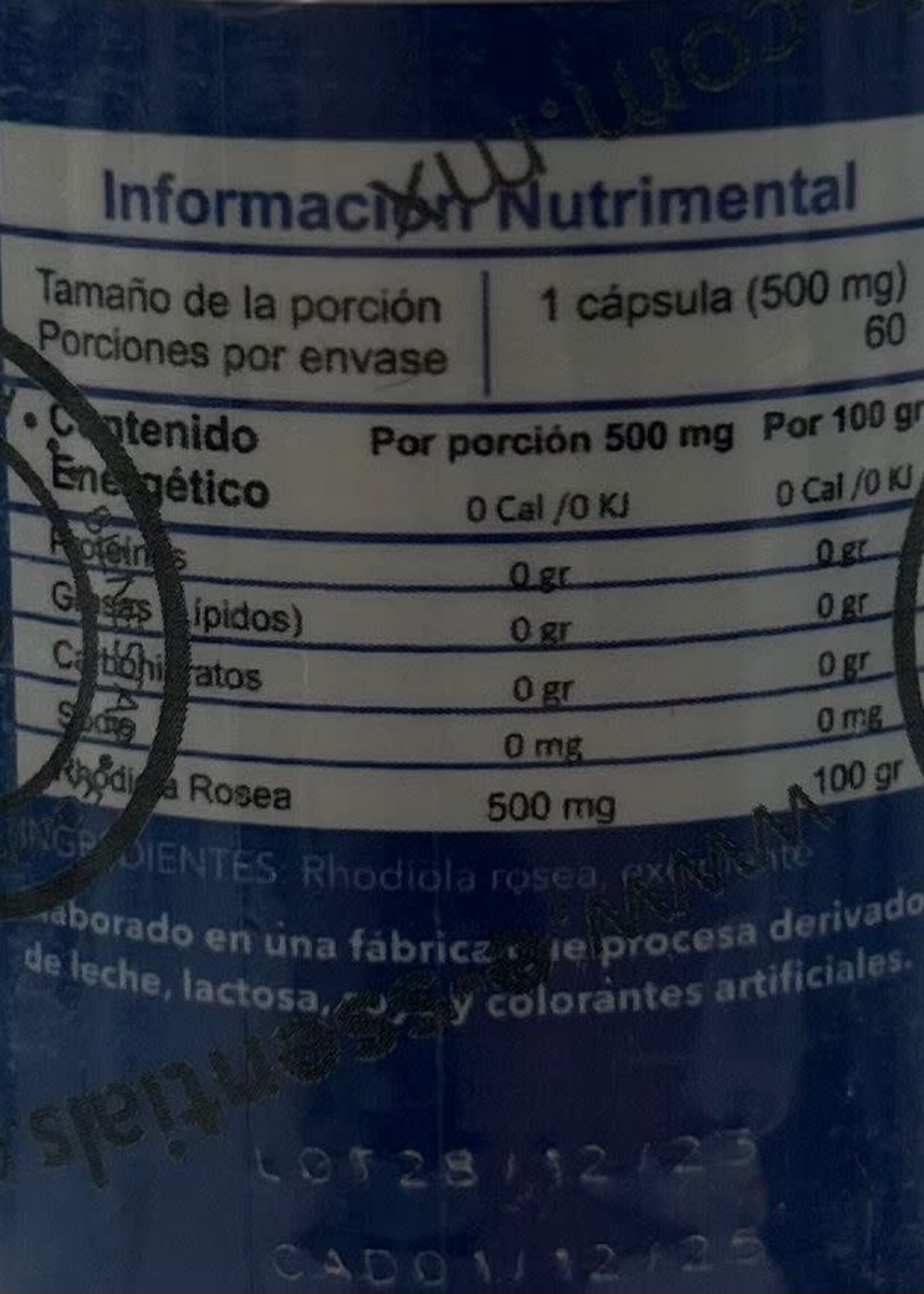 RHODIOLA ROSEA 60 CAP