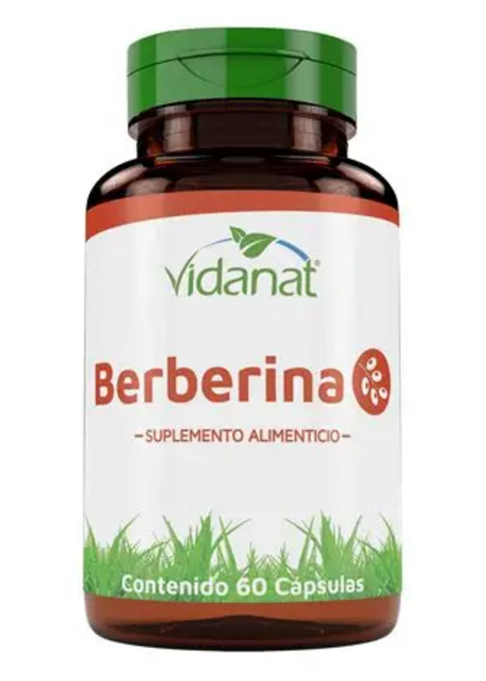 VIDANAT BERBERINA 60 CAP VIDANAT