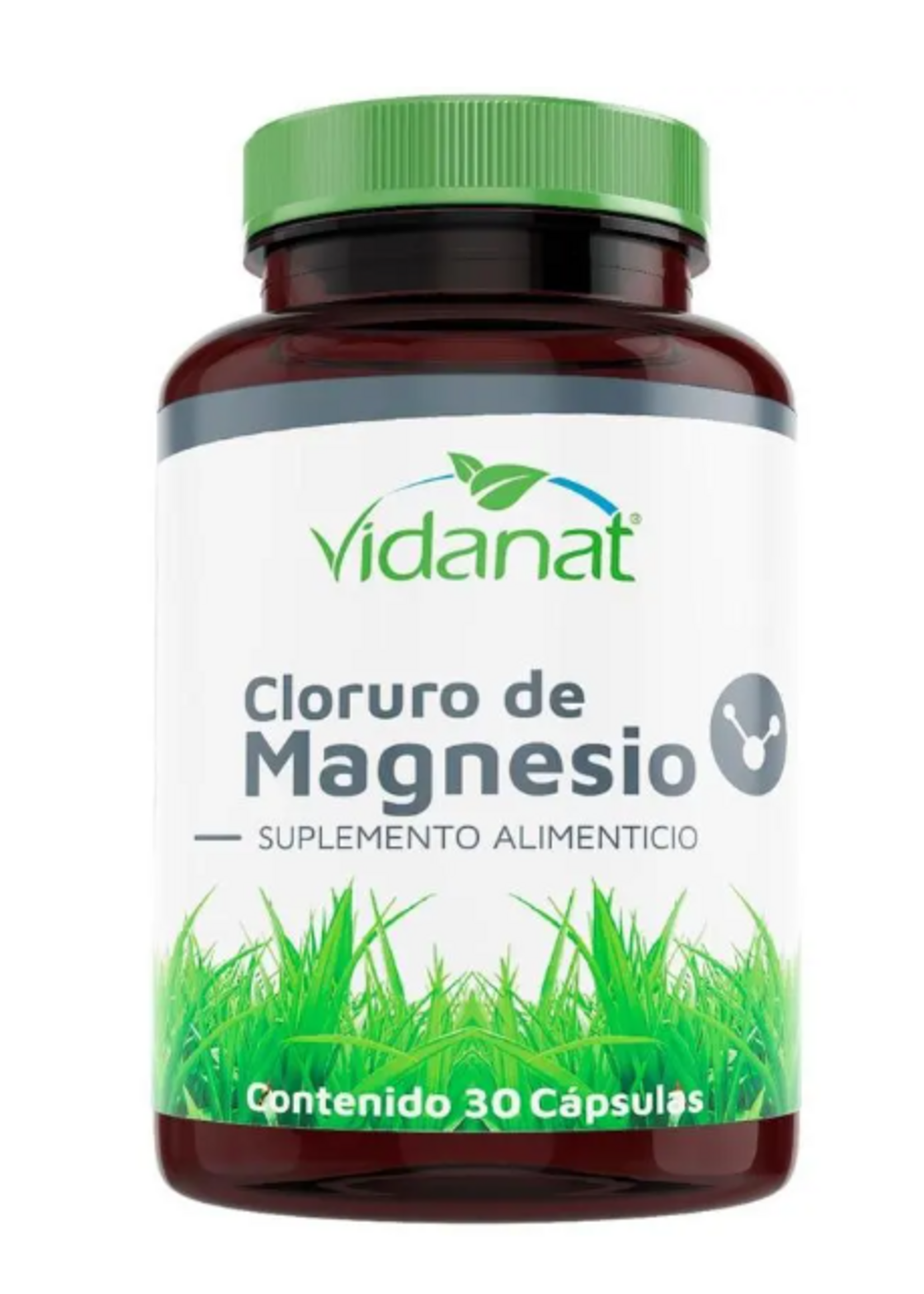 VIDANAT CLORURO MAGNESIO 30 CAP VIDANAT