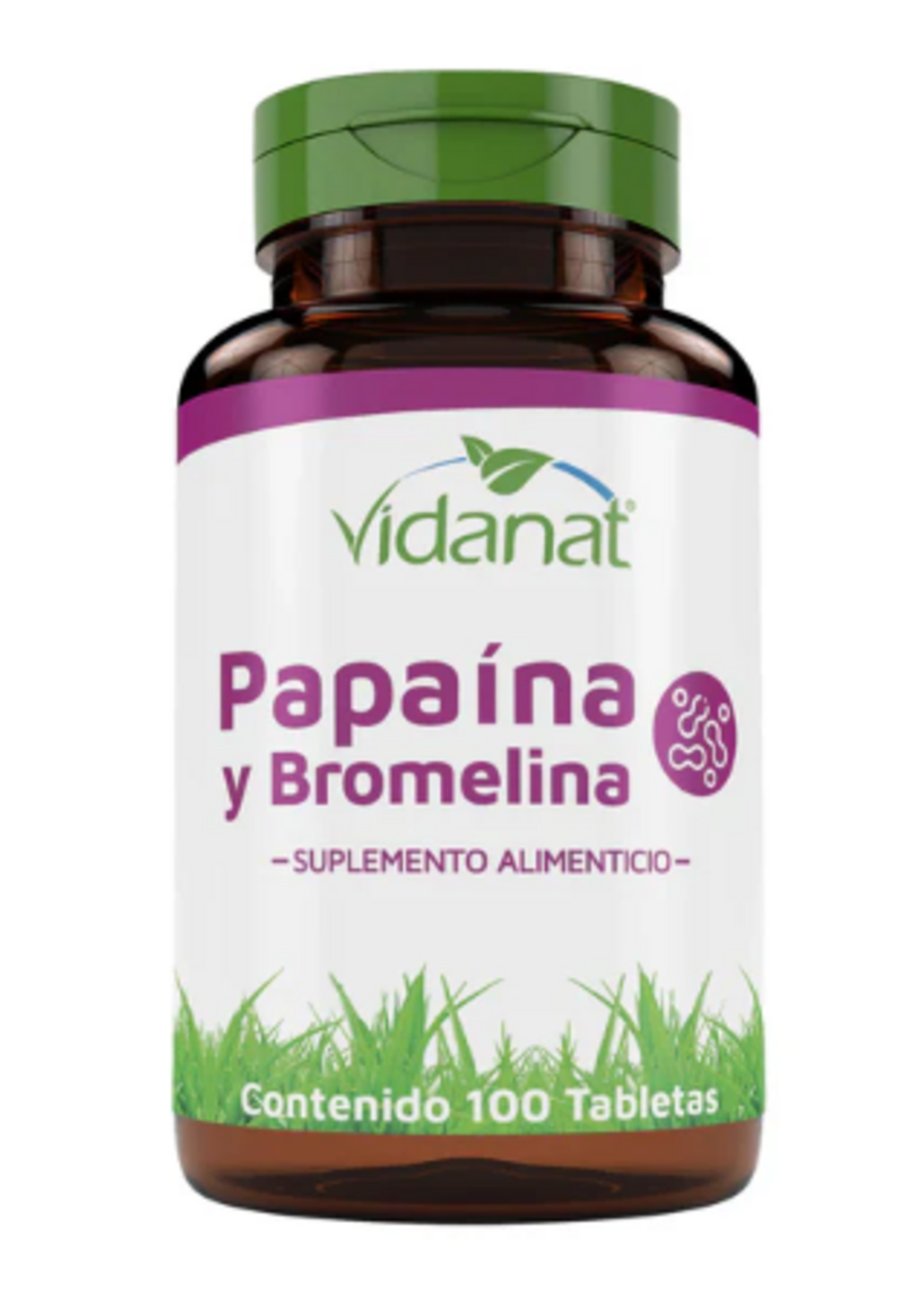 VIDANAT PAPAINA Y BROMELINA100 TAB VIDANAT