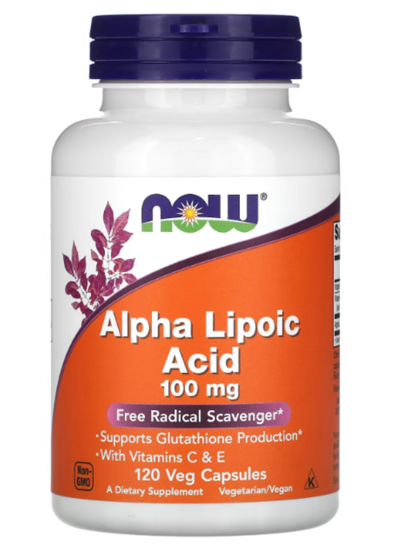 NOW ALPHA LIPOIC ACID NOW 100 MG 60 CAP