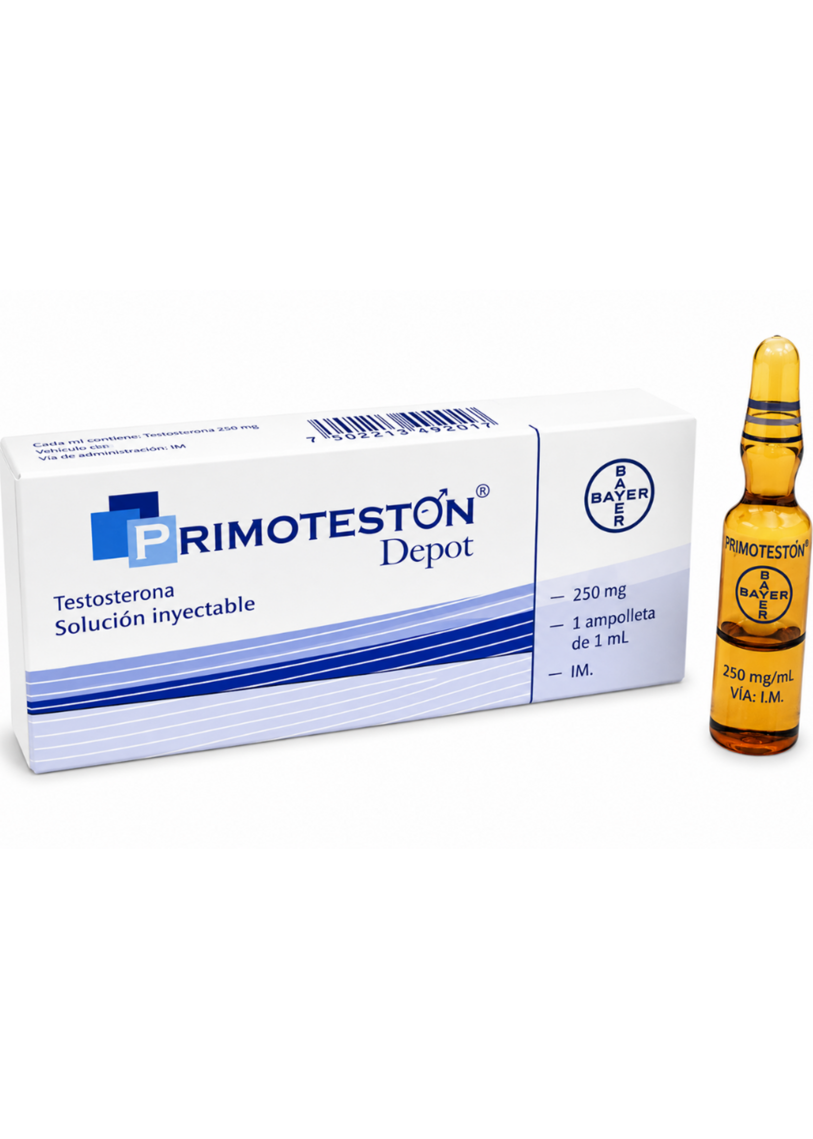 BAYER PRIMOTESTON BAYER 1 ML 250 MG