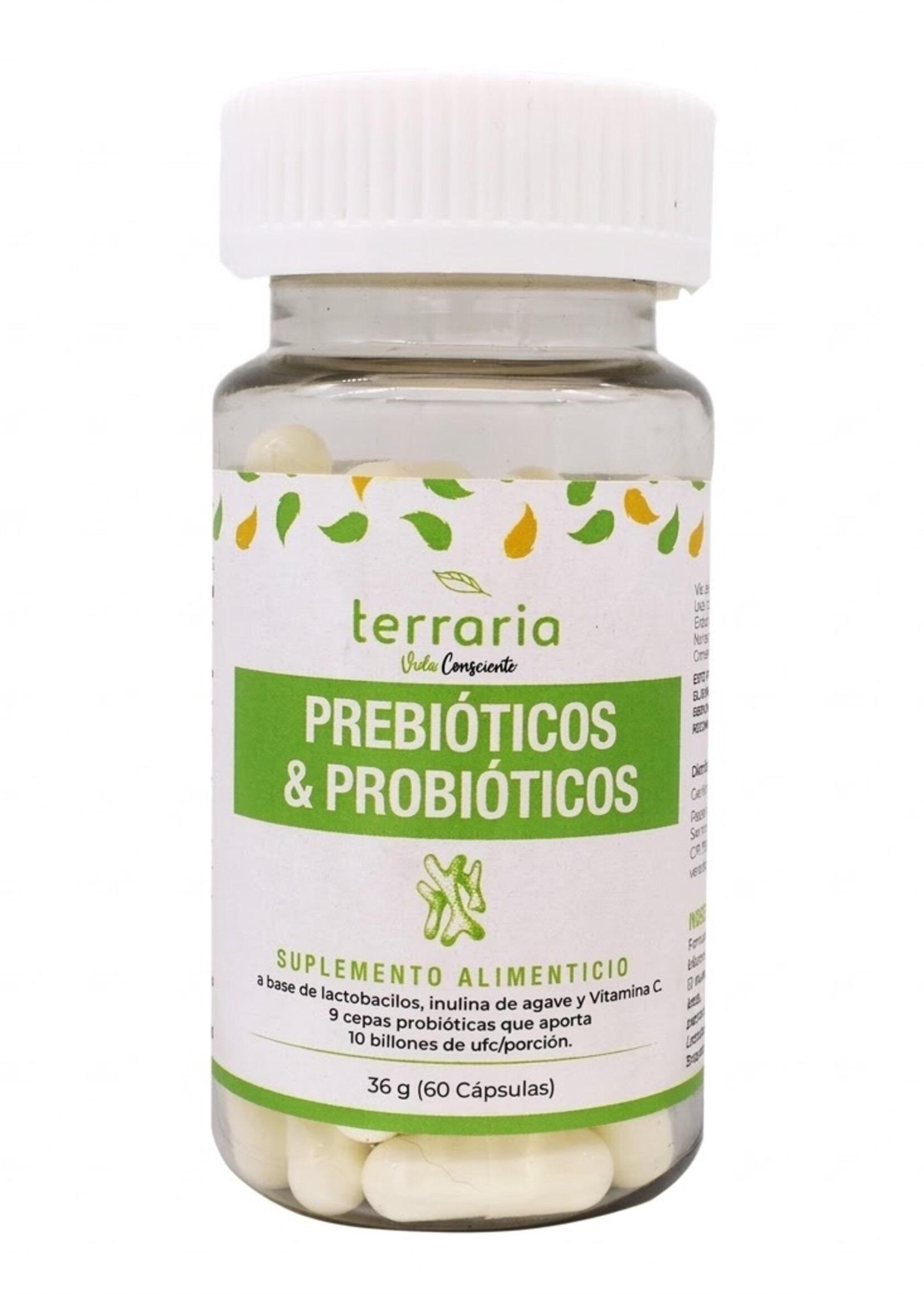 VIDANAT PRE PROBIOTICOS TERRARIA 60 CAP