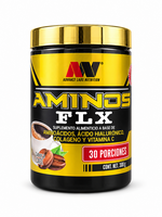 ADVANCE NUTRITION AMINOS FLX  ADVANCE 300 GR