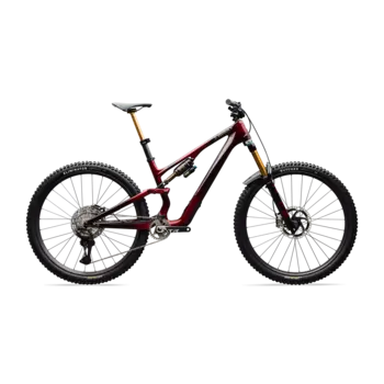 STUMPJUMPER 15 EVO SWORKS DI2 GLOSS SOLIDITY METALLIC / BORDEAUX METALLIC / BRUSHED CHROME S4