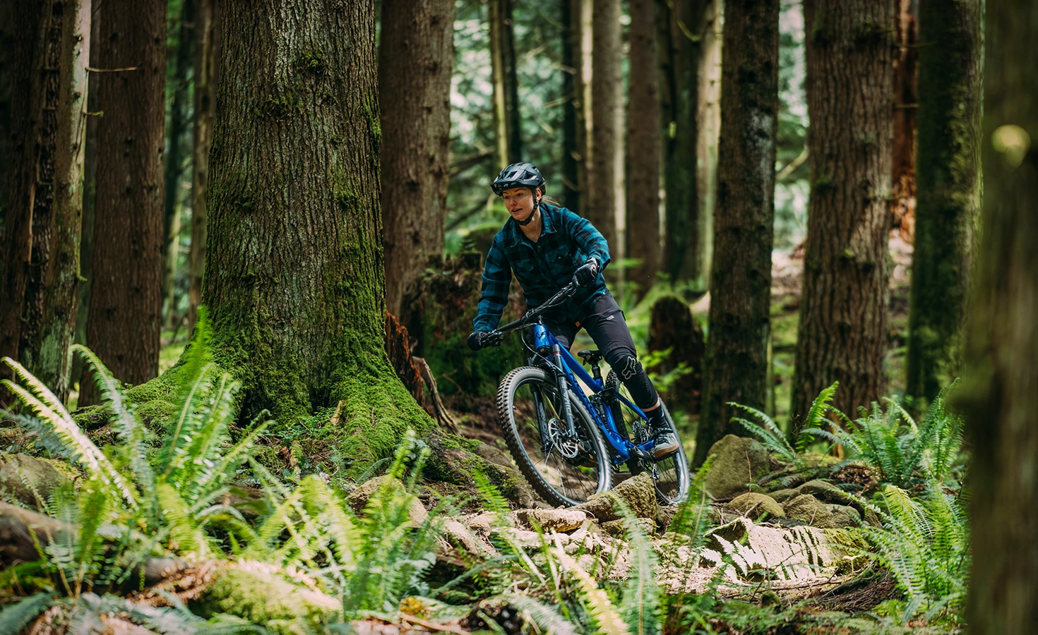 Norco Fluid Carbon FS C3