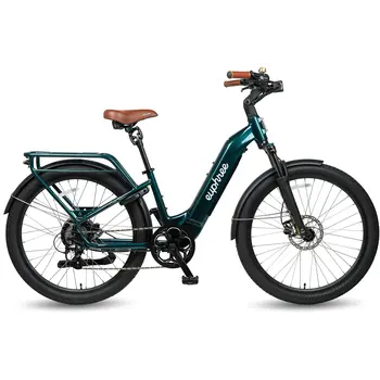 Euphree City Robin X+ Special Order