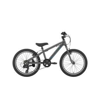 Marin DONKY JR 20" 6SP METALIC GREY