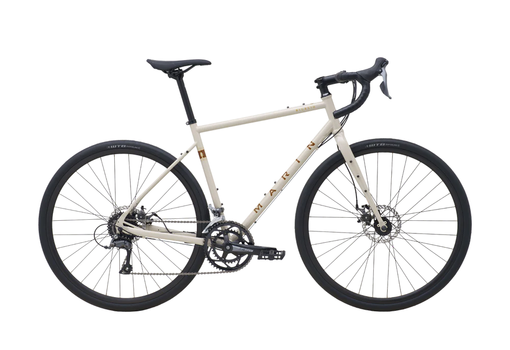 NICASIO 1 700C BONE GREY 58