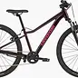 Kids Trail 24 Royal Purple