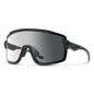 Wildcat Matte Black ChromaPop Photochromic Clear To Gray