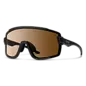 Wildcat Matte Black ChromaPop Photochromic Brown