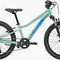 Kids Trail 20 Cactus Green OS