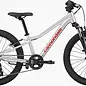 Kids Trail 20 Silver OS