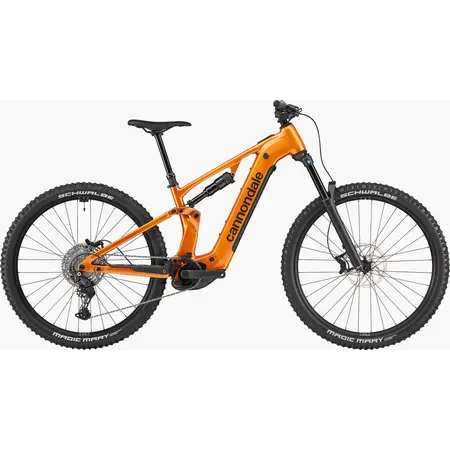 Moterra 4 29 Tiger Eye LG