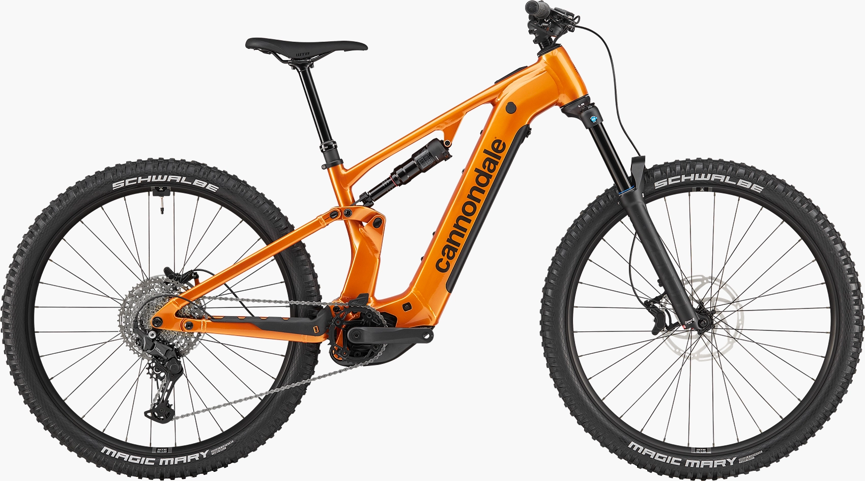 Moterra 4 29 Tiger Eye LG