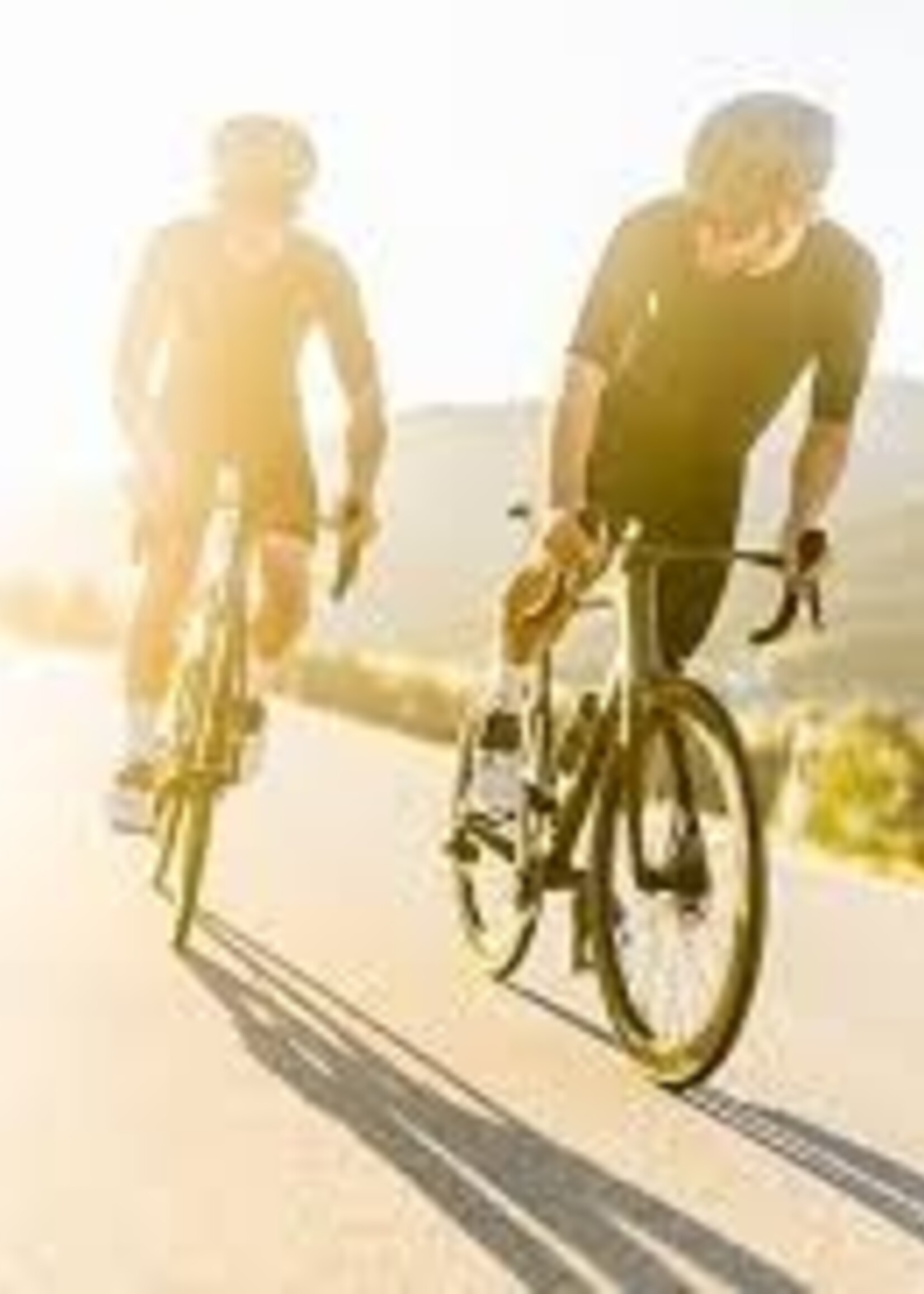 Scott Bikes Scott Speedster Gravel 10 - L56 Savana Green