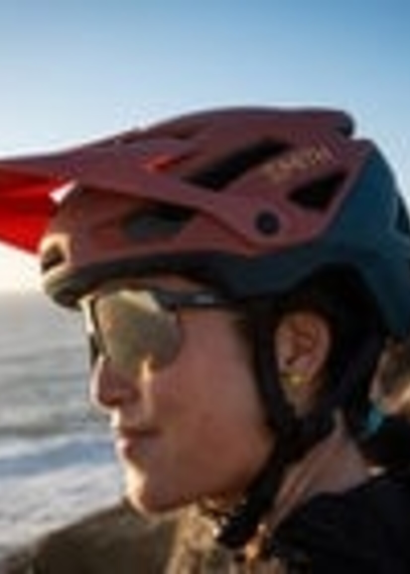 Smith Optics Smith Payroll MIPS Helmet