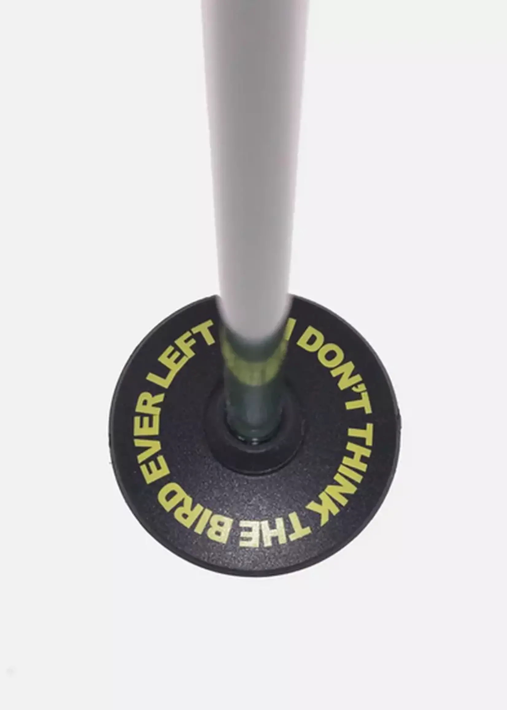 LINE SKIS Line Wallischstick Pole