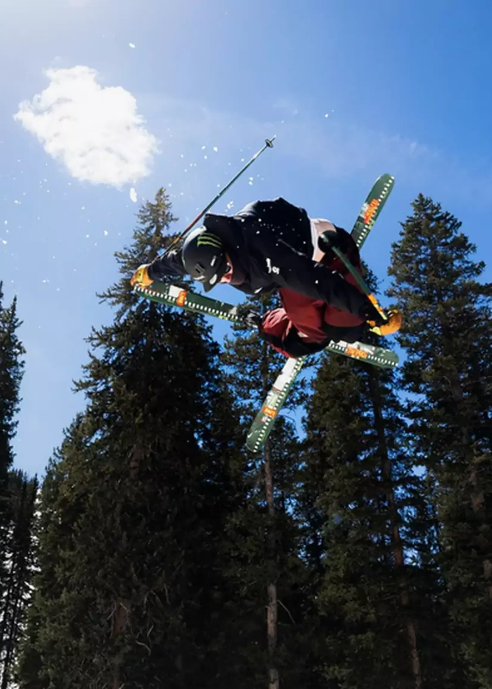 LINE SKIS Line Wallischstick Pole