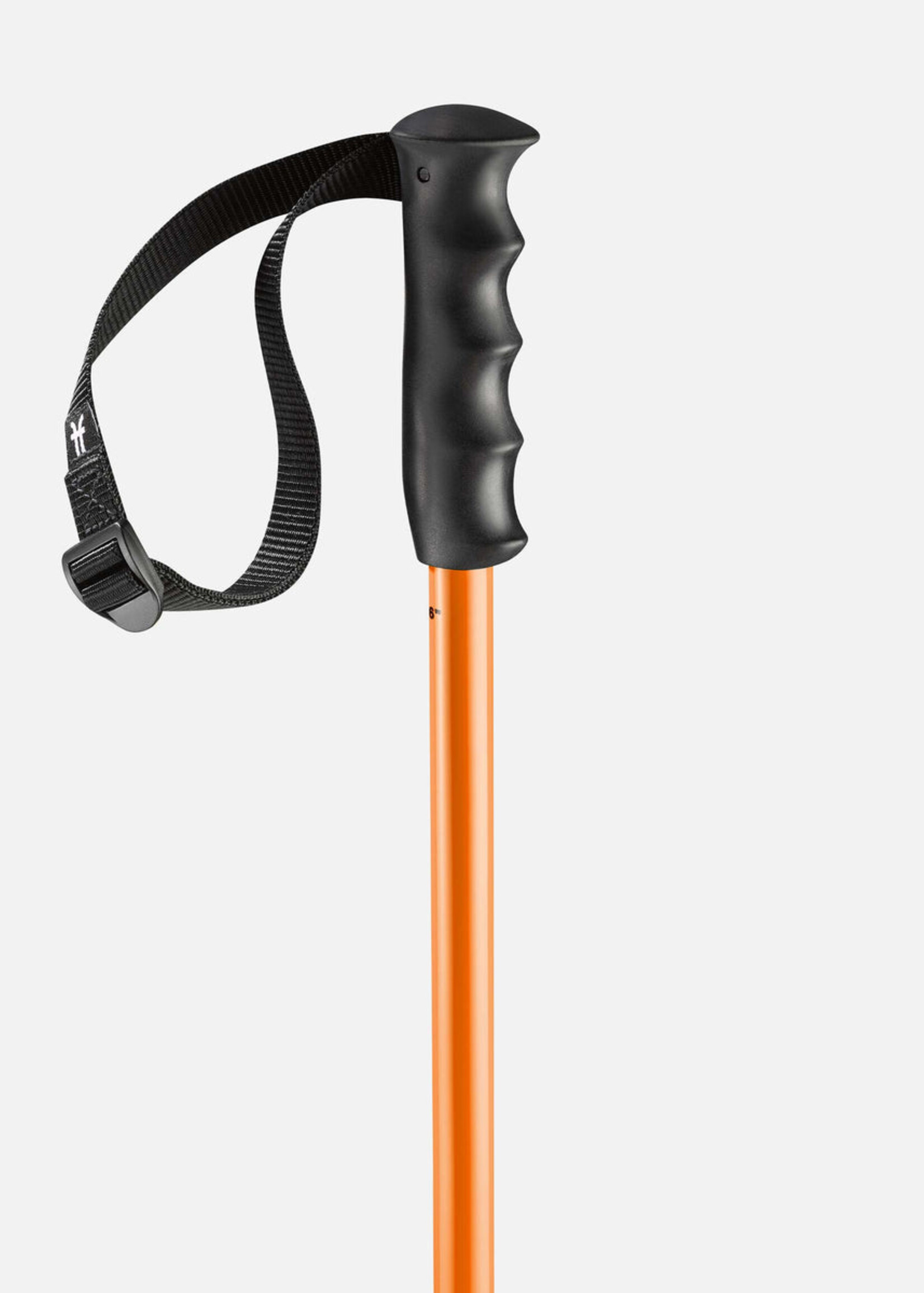 Faction Skis Faction Prodigy Poles