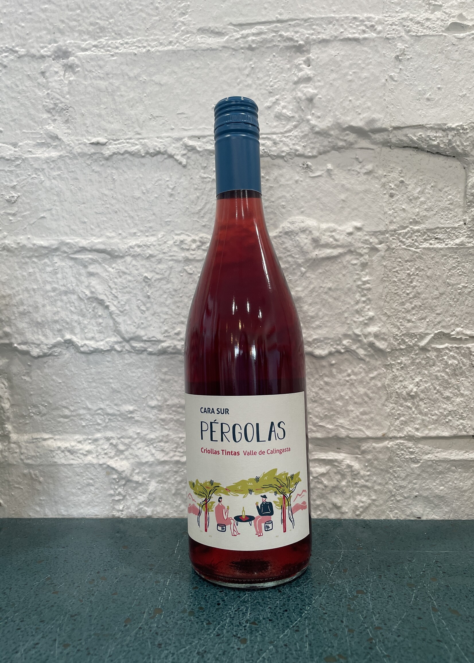 Brazos Wine Imports Cara Sur Pergolas Tinto Calingasta Valley
