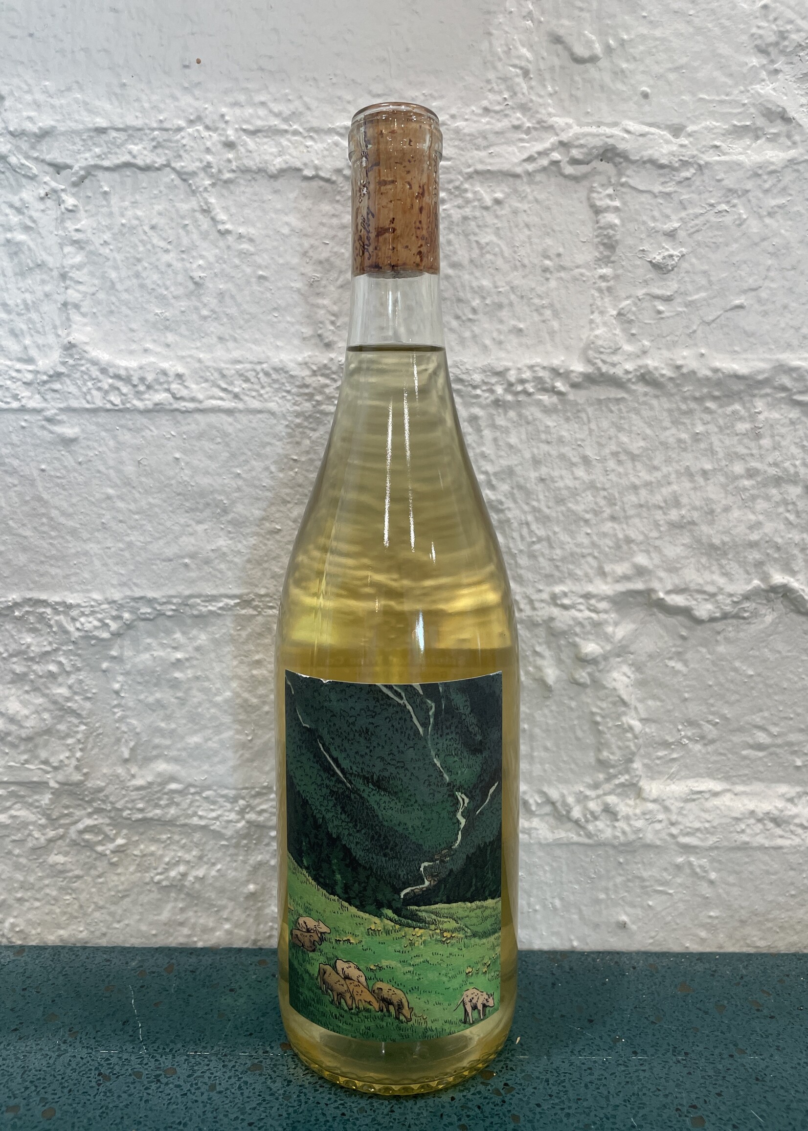Kelley Fox Gruner Veltliner
