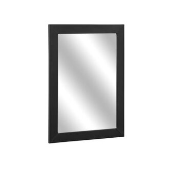 Modern & Contemporary Mirror Finish: Black