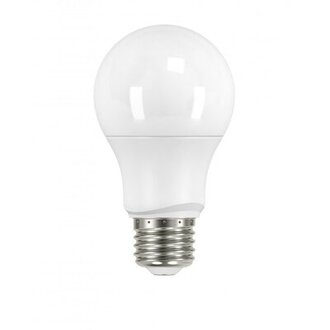 Roderick 6 Watt (40 Watt Equivalent), A19 LED, Non-Dimmable Light Bulb, E26/Medium (Standard) Base Color Temperature: 5000K