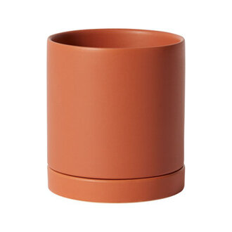 Carlotta Ceramic Pot Planter