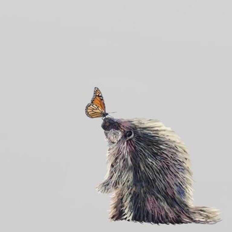 Porcupine and Friend by Cathy Walters - Wrapped Canvas Print Size: 30" H x 30" W x 1.5" D
